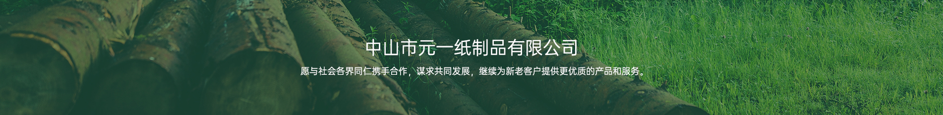 中山91网站在线观看一纸制品